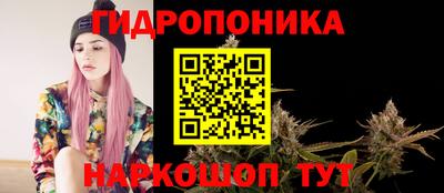 мяу мяу мука Ликино-Дулёво